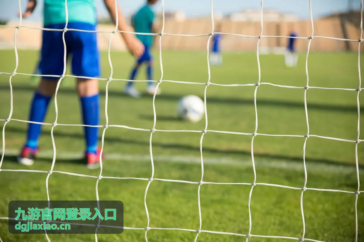 九游官网登录入口验证码排查方法封面